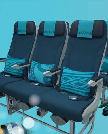 Amazon.co.jp: エアカレドニア エアカラン カレドニア航空